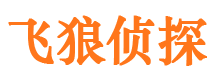 高平侦探